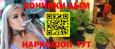 индика Бийск