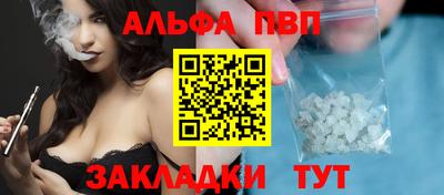 индика Бийск