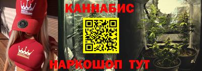 индика Бийск