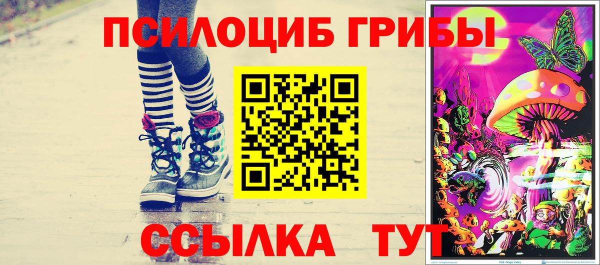 Галлюциногенные грибы Psilocybe  Псилоцибиновые грибы мицелий  Вход с VPN  наркота  Боровичи 